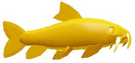 midas fish fishing simulator price|Fish Encyclopedia .